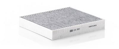 Filtras, salono oras