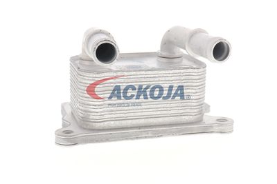 RADIATOR ULEI ULEI MOTOR ACKOJA A38600004 58