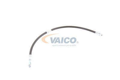 FURTUN FRANA VAICO V103077 56