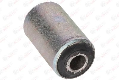 BUCSA ARC FOI BIRTH 2088 10