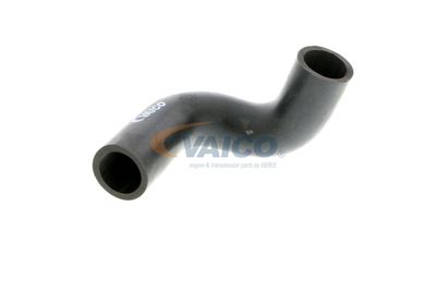 FURTUN AERISIRE CHIULASA VAICO V401784 55