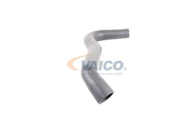 FURTUN EAR SUPRAALIMENTARE VAICO V250943 49
