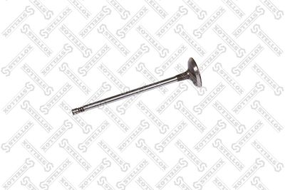 STELLOX 01-24438-SX STELLOX 01-24438-SX