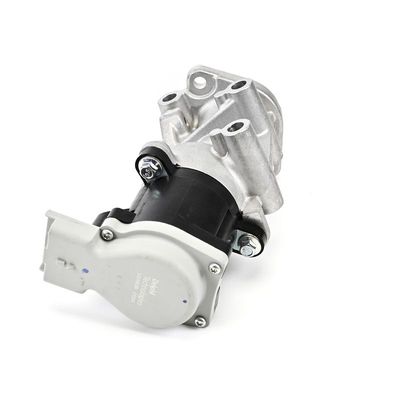 AGR-VENTIL DELPHI EG1052912B1 8