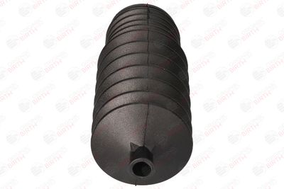 BURDUF CAUCIUC DIRECTIE BIRTH 7263 4