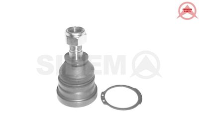 ARTICULATIE SARCINA/GHIDARE