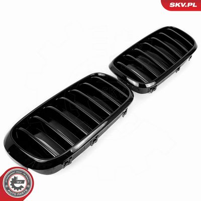 GRILA RADIATOR ESEN SKV 66SKV294 2