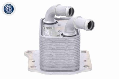 RADIATOR ULEI ULEI MOTOR ACKOJA A52600024 5