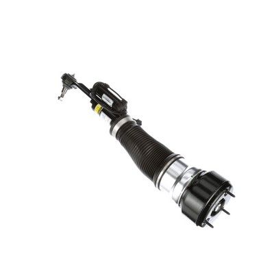 LUFTFEDERBEIN Arnott AS2548 70