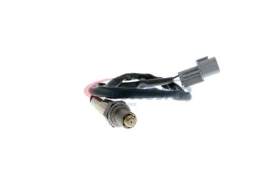 SONDA LAMBDA ACKOJA A53760007 53