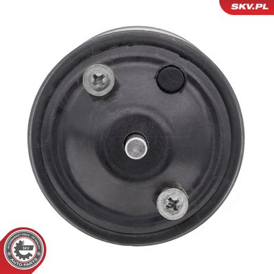 Termostat, chladivo ESEN SKV 20SKV268