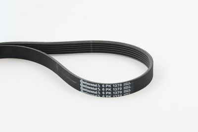 CONTINENTAL CTAM Keilrippenriemen