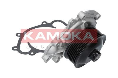 Water Pump, engine cooling T0073