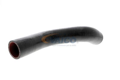 FURTUN EAR SUPRAALIMENTARE VAICO V460743 33