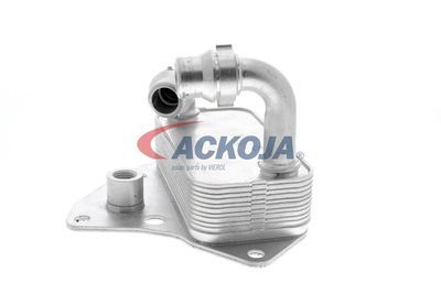 RADIATOR ULEI ULEI MOTOR VEMO V24600051 23