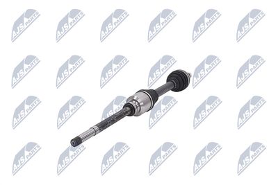 PLANETARA NTY NPWCT161 36