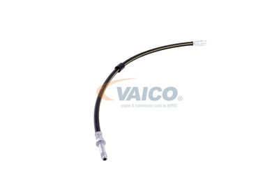 FURTUN FRANA VAICO V300547 51