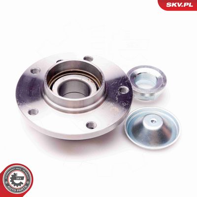 SET RULMENT ROATA ESEN SKV 29SKV016 1