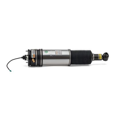 LUFTFEDERBEIN Arnott AS2978 3