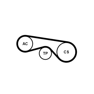 SET CUREA TRANSMISIE CU CANELURI CONTINENTAL CTAM 5PK906K2 1