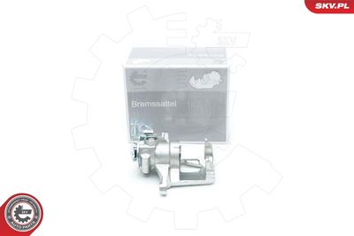 Brake Caliper 23SKV193