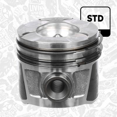 PISTON ET ENGINETEAM PM008900 1