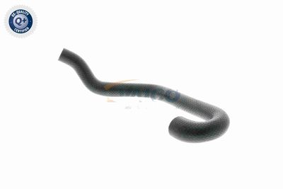 FURTUN RADIATOR VAICO V201701 2