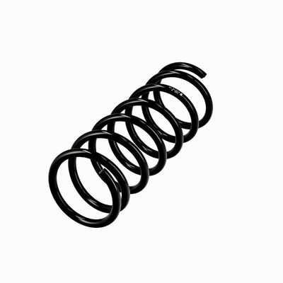 ARC SPIRAL EIBACH R10118 15