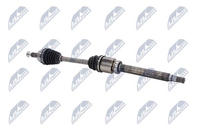 PLANETARA NTY NPWFR080 27