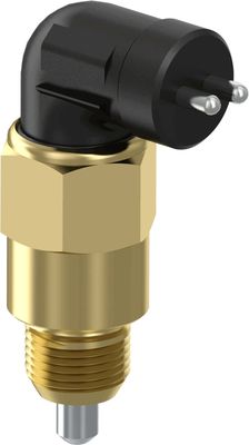 Typische of gestandaardiseerde onderdelen EDS-sensor