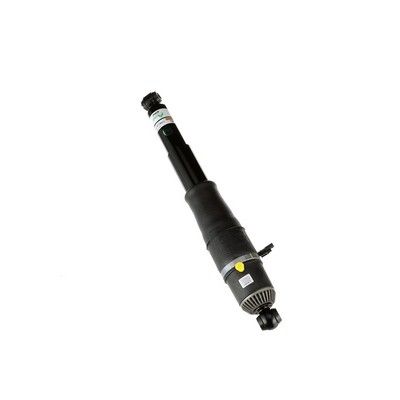 LUFTFEDERBEIN Arnott AS3066 56