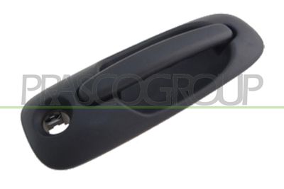 Дръжка външна врата PRASCO DG0058142