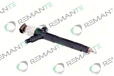 INJECTOR REMANTE 002003002041R 3