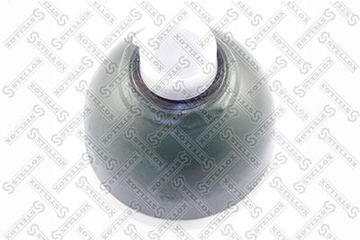 STELLOX 70-00042-SX STELLOX 70-00042-SX