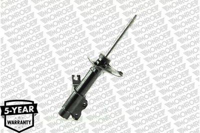 Shock Absorber G16613