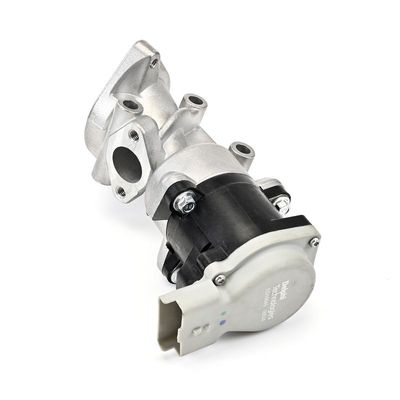 AGR-VENTIL DELPHI EG1064012B1 5