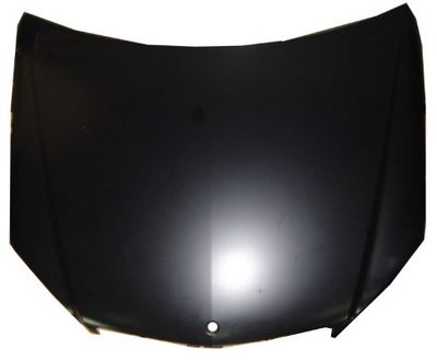 Capota motor MTR 30067924