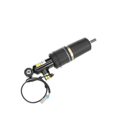 LUFTFEDERBEIN Arnott AS2177 64