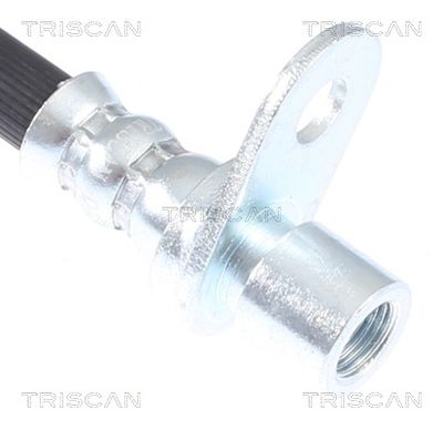 FURTUN FRANA TRISCAN 815050228 2