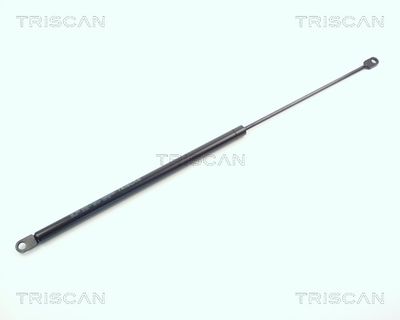 газов амортисьор, капак на двигателя TRISCAN 8710 6504