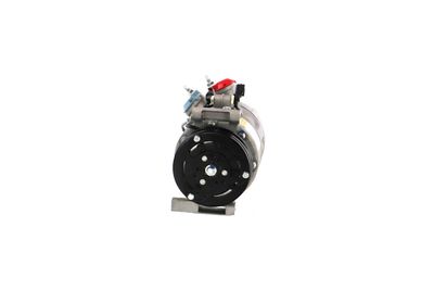 COMPRESOR CLIMATIZARE REMANTE 005001000045R 61