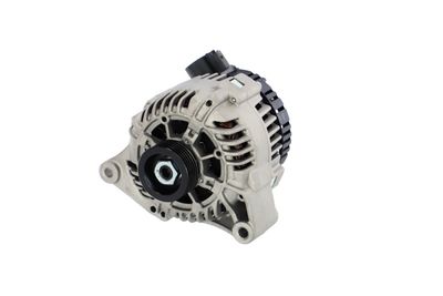 GENERATOR / ALTERNATOR REMANTE 011003000088R 63