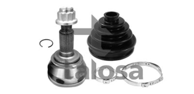 SET ARTICULATIE PLANETARA