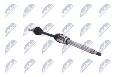 PLANETARA NTY NPWFR115 29