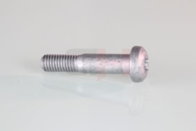 SET MONTARE LEGATURA