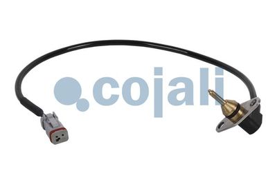 Sensor COJALI 2260067