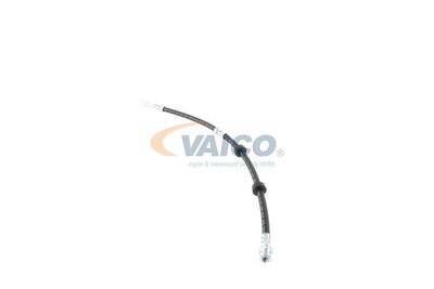 FURTUN FRANA VAICO V104226 11