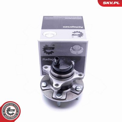 SET RULMENT ROATA ESEN SKV 29SKV276