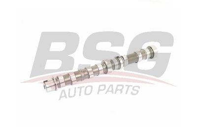BSG BSG 25-108-002 Распредвал  для FIAT PUNTO (Фиат Пунто)