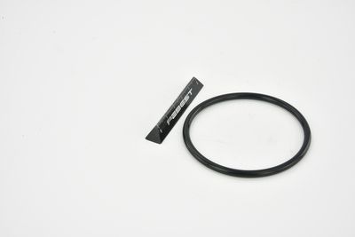 ETANșARE CARCASă CLAPETă FEBEST RINGAH034 18